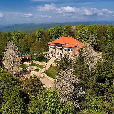 Cetatuia Magura (Buzau) Exterior foto