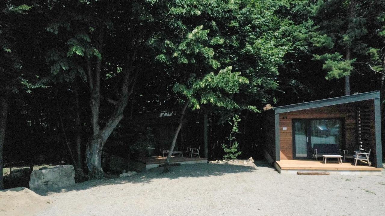 Cetatuia Magura (Buzau) Exterior foto