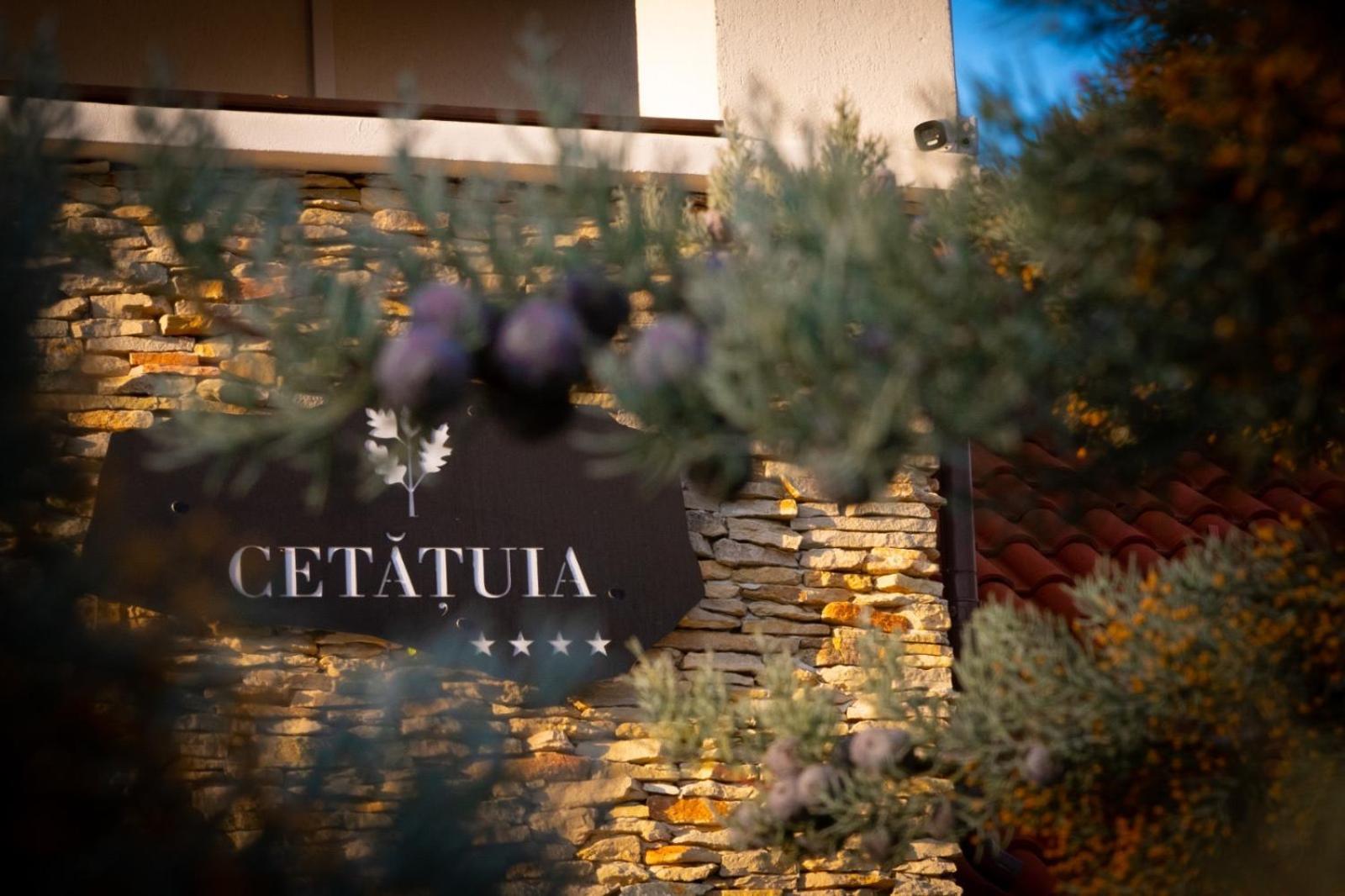 Cetatuia Magura (Buzau) Exterior foto