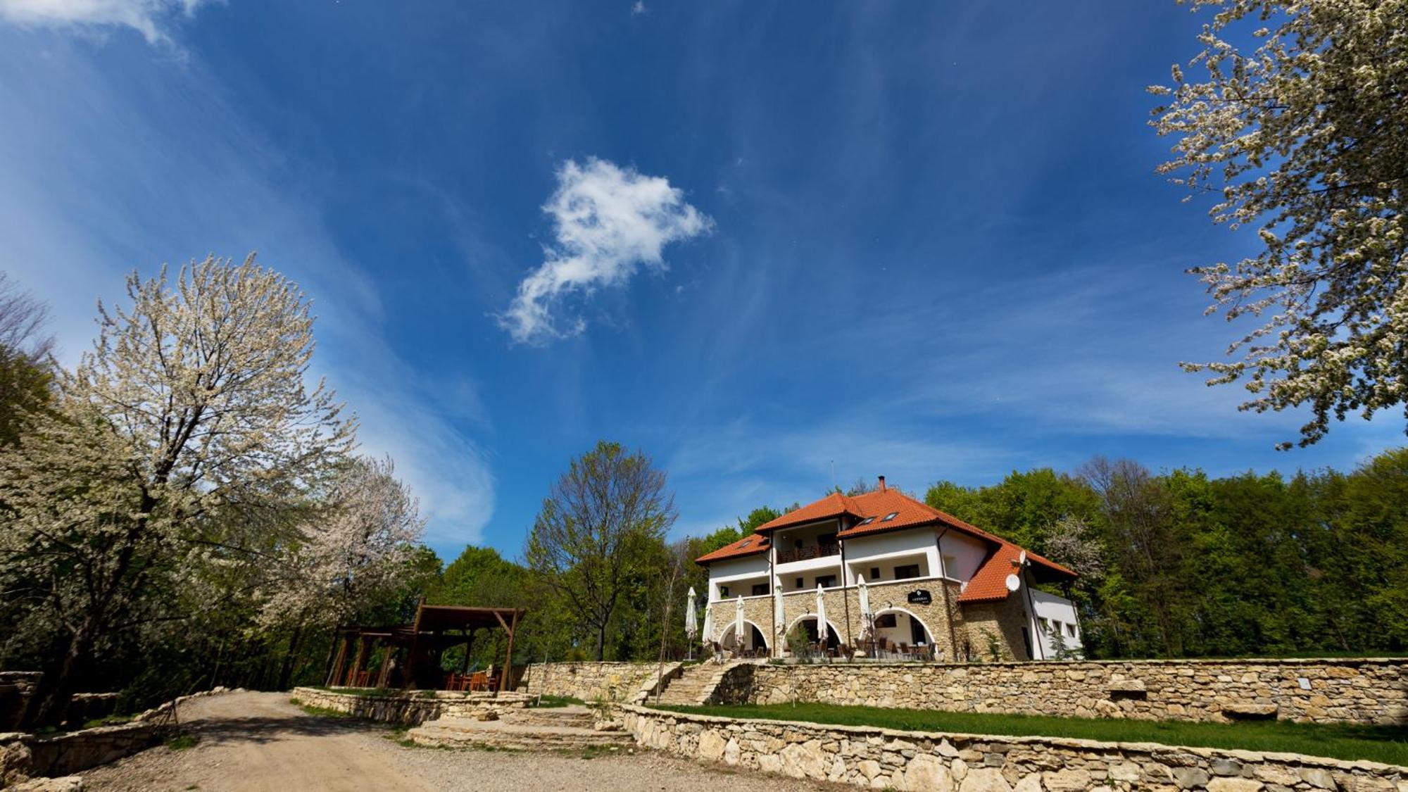 Cetatuia Magura (Buzau) Exterior foto